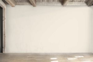 F313 Галлерея