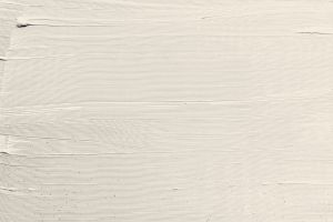 F313 Галлерея