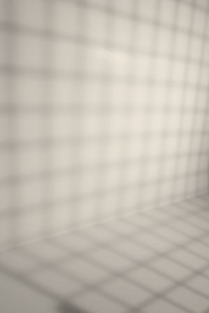 F313 Галлерея