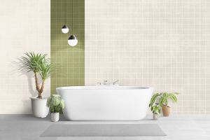 F313 Галлерея