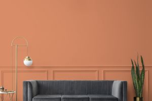 S315 Фольклор