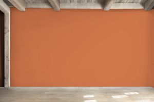 S315 Фольклор