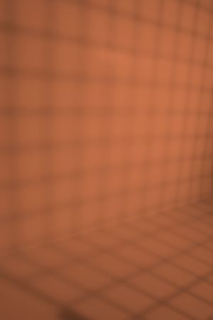 S315 Фольклор