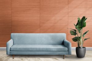 S315 Фольклор