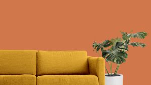 S315 Фольклор