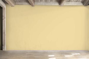 G392 Шампанское