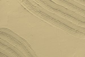 G392 Шампанское