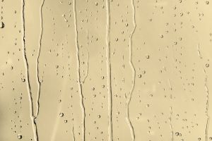 G392 Шампанское