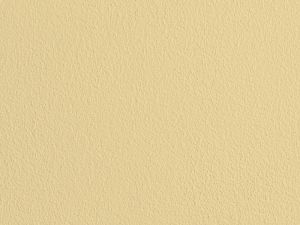 G392 Шампанское