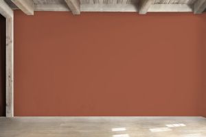 N405 Терракота