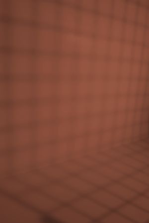 N405 Терракота