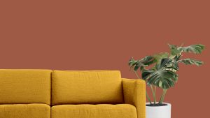 N405 Терракота