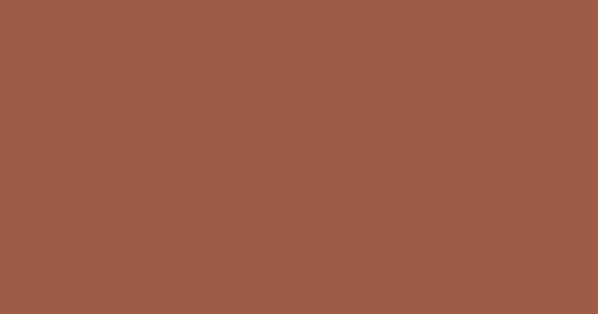 Колір N405 Терракота rgb(158, 90, 68)