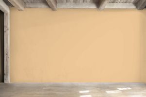 H395 Пшеничное поле