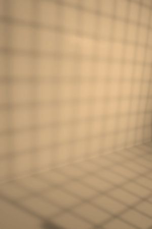 H395 Пшеничное поле