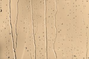 H395 Пшеничное поле