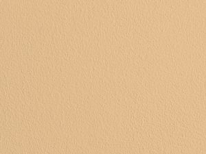 H395 Пшеничное поле