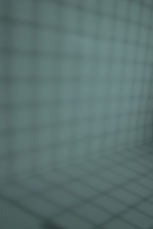 S440 Шелковый Путь