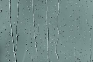 S440 Шелковый Путь