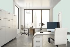 X442 Спа