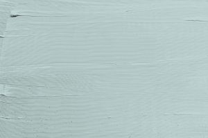 H441 Тропический ветер