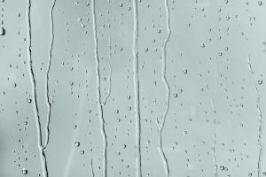 H441 Тропический ветер