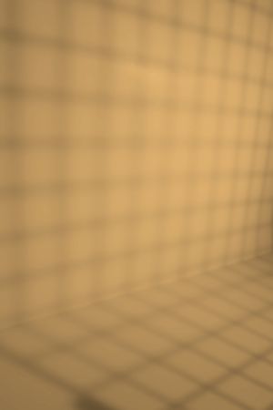 J398 Пчелиные соты