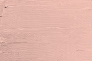 H320 Магнолия