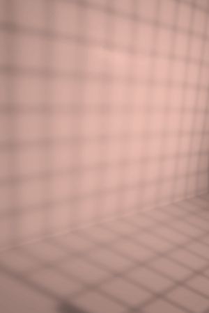 H320 Магнолия