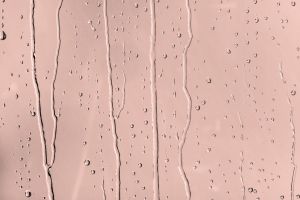 H320 Магнолия