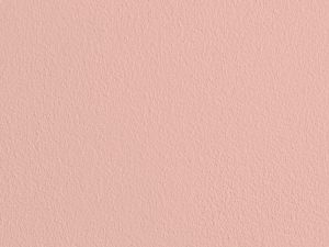 H320 Магнолия