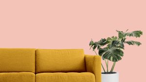 H320 Магнолия