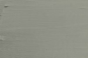 M495 Арктическая ива