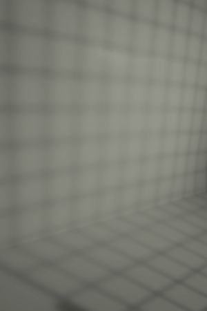 M495 Арктическая ива