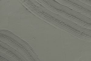 M495 Арктическая ива