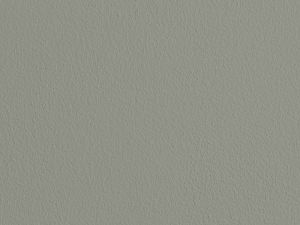 M495 Арктическая ива