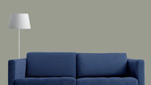 M495 Арктическая ива