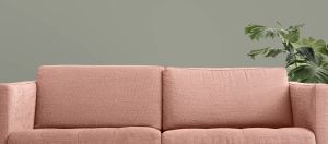 M495 Арктическая ива