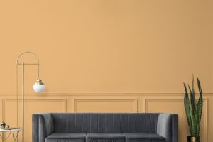 K398 Чечевица