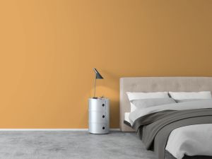 K398 Чечевица