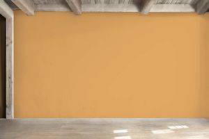 K398 Чечевица