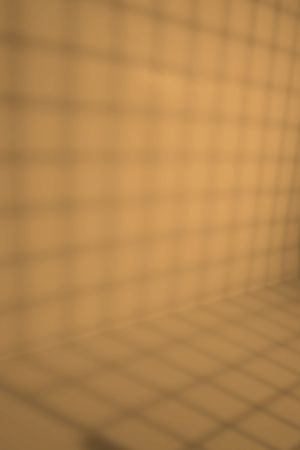 K398 Чечевица