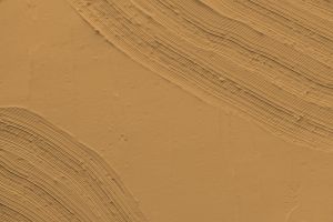 K398 Чечевица