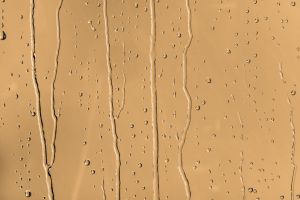 K398 Чечевица