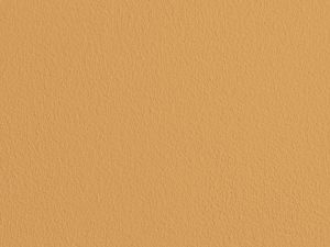 K398 Чечевица