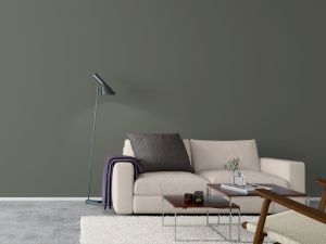 V495 Железная дорога