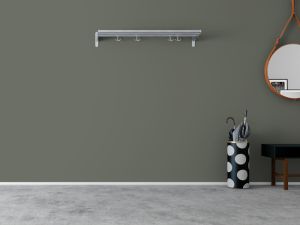 V495 Железная дорога