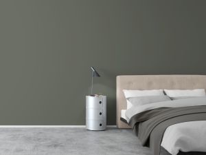 V495 Железная дорога