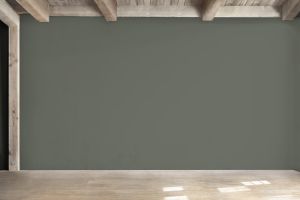 V495 Железная дорога