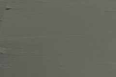 V495 Железная дорога